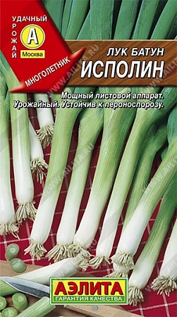 Лук батун Исполин, 1 г