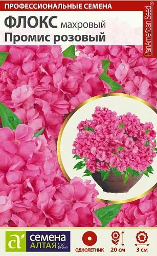 Флокс Промис розовый махровый, 5 шт Флокс Промис розовый махровый, 5 шт