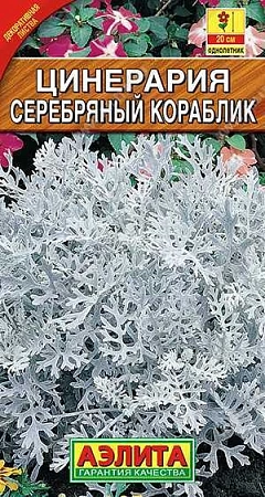 Цинерария Серебряный кораблик 0,1 г (АЭЛИТА) Цинерария Серебряный кораблик 0,1 г (АЭЛИТА)