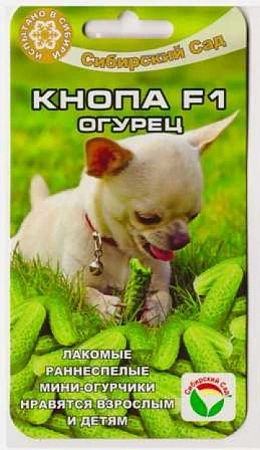 Огурец Кнопа F1, 7 шт (Сиб Сад)