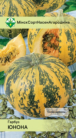 Тыква Юнона, 10 шт (МССО)