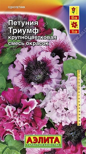 Петуния Триумф смесь, 10 шт Петуния Триумф смесь, 10 шт