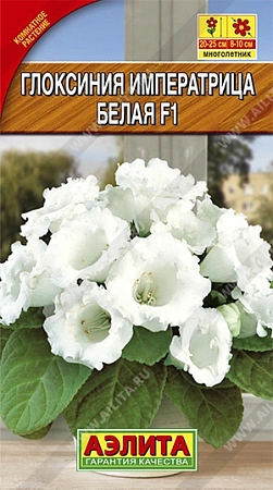 Глоксиния Императрица F1 белая, 5 шт Глоксиния Императрица F1 белая, 5 шт
