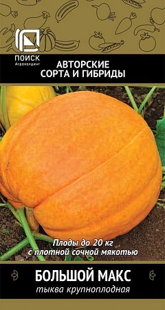 Тыква Большой Макс крупноплодная, 10 шт (Поиск)
