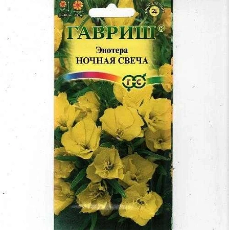 Энотера Ночная свеча, 0,2 г (Гавриш)