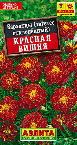 Бархатцы Красная вишня отклоненные, 0,3 г (АЭЛИТА) Бархатцы Красная вишня отклоненные, 0,3 г (АЭЛИТА)