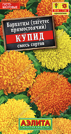 Бархатцы Купид хризантемовидные, смесь сортов 0,1 г (Аэлита)