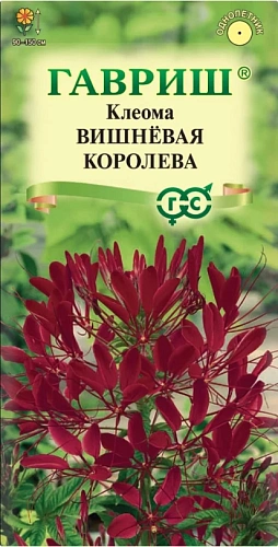 Клеома Вишневая королева 0,3 г (ГАВРИШ) Клеома Вишневая королева 0,3 г (ГАВРИШ)