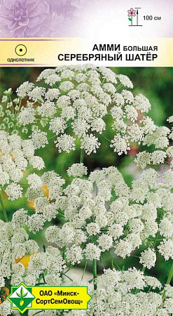Амми большая Серебряный шатер, 0,3 г (МССО)