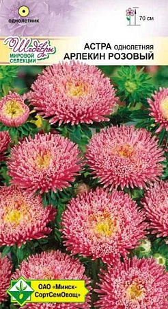 Астра Арлекин Розовый, 0,2 г (МССО) Астра Арлекин Розовый, 0,2 г (МССО)