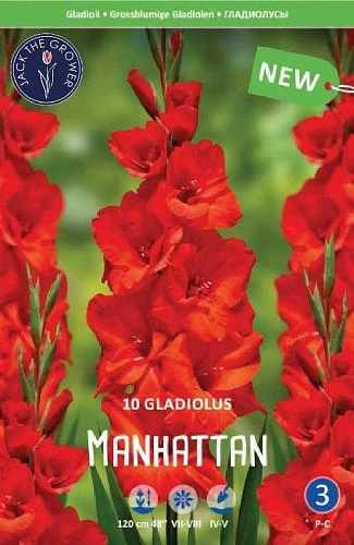 Гладиолус Manhattan, 10 шт (Lefeber) Гладиолус Manhattan, 10 шт (Lefeber)