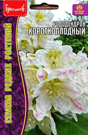 Рододендрон Короткоплодный, 20 шт (Ред сем)
