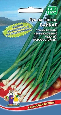 Лук на зелень Байкал (УД)
