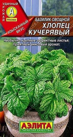 Базилик овощной Хлопец кучерявый 0,3 г