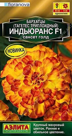 Бархатцы Индьюранс F1 сансет голд, 5 шт (Аэлита)