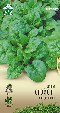 Шпинат Спейс F1, 1 г (Эксперт) (МССО)