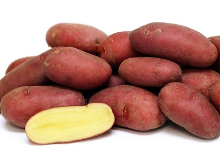 Картофель семенной Палац