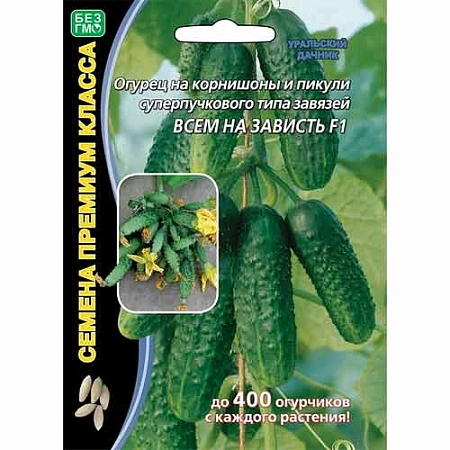 Огурец Всем на зависть F1 (УД) Огурец Всем на зависть F1 (УД)