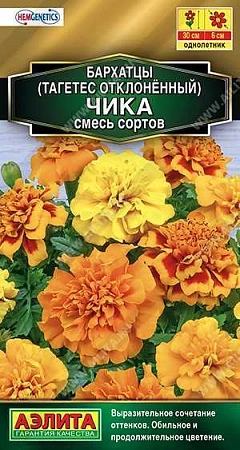 Бархатцы Чика отклоненные, смесь сортов