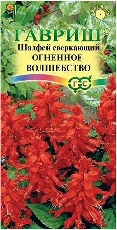 Сальвия Огненное волшебство, 0,05 г (ГАВРИШ)