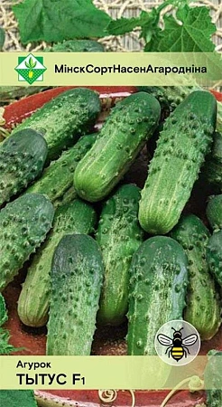 Огурец Тытус F1, 0,6 г (МССО) Огурец Тытус F1, 0,6 г (МССО)