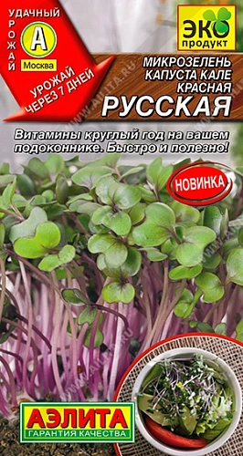 Микрозелень Капуста кале Красная русская, 3 г Микрозелень Капуста кале Красная русская, 3 г