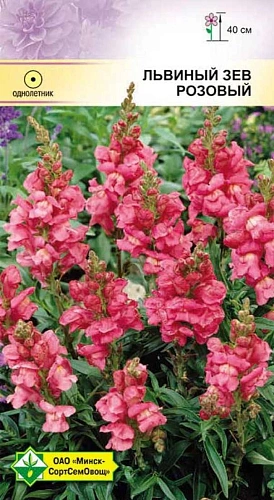 Львиный зев Розовый 0,2 г (МССО) Львиный зев Розовый 0,2 г (МССО)