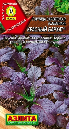 Горчица салатная Красный бархат 0,5 г (АЭЛИТА) Горчица салатная Красный бархат 0,5 г (АЭЛИТА)