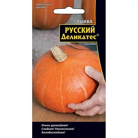 Тыква Русский деликатес, 3 шт (УД)