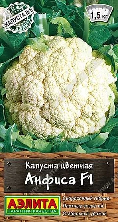 Капуста цветная Анфиса F1, 0,1 г (АЭЛИТА) Капуста цветная Анфиса F1, 0,1 г (АЭЛИТА)