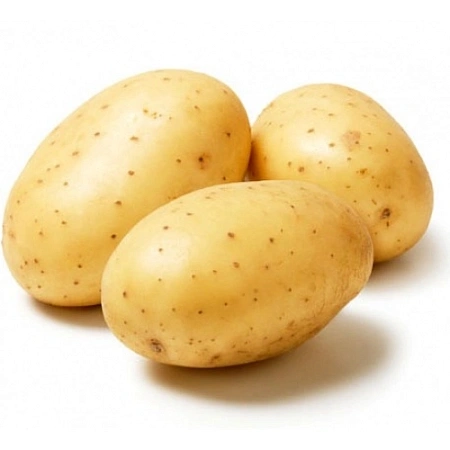 Картофель Гала семенной (1-я репродукция), 5 кг