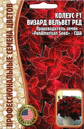 Колеус Визард Вельвет Ред F1, 5 шт (Ред сем)
