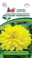 Цинния Медовая коврижка (5 шт), 2-ной пак. (ПАРТНЕР) Цинния Медовая коврижка (5 шт), 2-ной пак. (ПАРТНЕР)