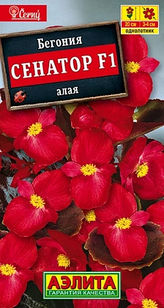 Бегония Сенатор F1 алая, 10 шт (Аэлита) Бегония Сенатор F1 алая, 10 шт (Аэлита)