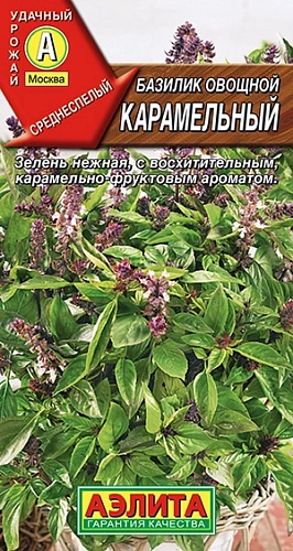 Базилик овощной Карамельный, 0,3 г (Аэлита) Базилик овощной Карамельный, 0,3 г (Аэлита)