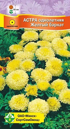 Астра Карликовая Желтый бархат, 0,3 г (МССО) Астра Карликовая Желтый бархат, 0,3 г (МССО)