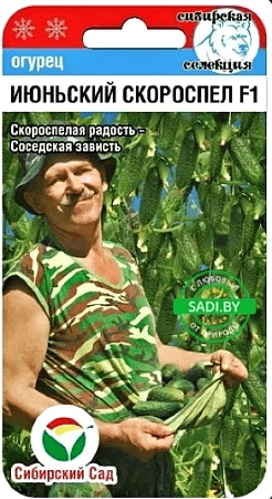 Огурец Июньский скороспел F1, 7 шт (Сиб Сад)