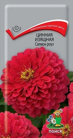 Цинния Салмон роуз однолетник, 0,4 г (Поиск)