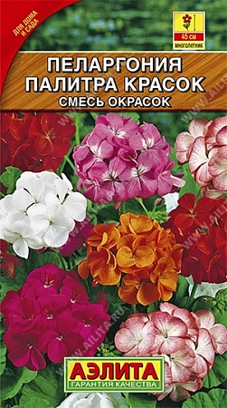Пеларгония Палитра красок, смесь окрасок 4 шт