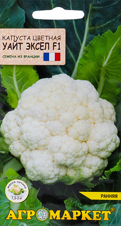 Капуста цветная Уайт Эксел F1, 15 шт (Агромаркет) Капуста цветная Уайт Эксел F1, 15 шт (Агромаркет)