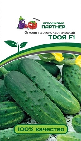 Огурец ТРОЯ F1 10 шт