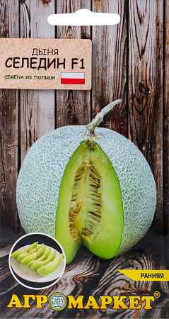 Дыня Селедин F1, 5 шт (Агромаркет)