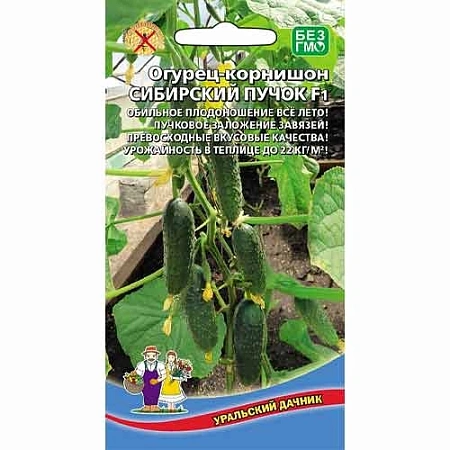 Огурец Сибирский пучок F1, 8 шт (УД) Огурец Сибирский пучок F1, 8 шт (УД)