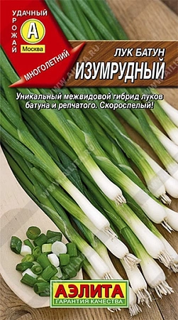 Лук батун Изумрудный, 1 г (АЭЛИТА)