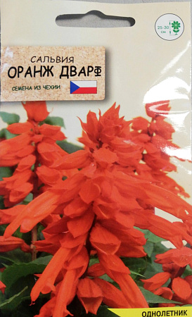Сальвия Оранж Дварф, 10 шт (Агромаркет)