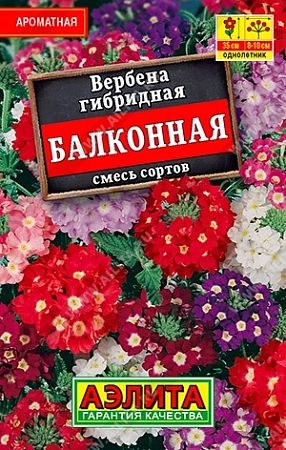 Вербена Балконная, смесь сортов 40 шт (Аэлита)