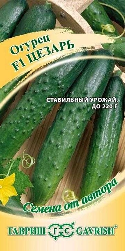 Огурец Цезарь F1, 10 шт (ГАВРИШ) Огурец Цезарь F1, 10 шт (ГАВРИШ)