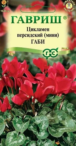 Цикламен Габи персидский, 3 шт (Гавриш) Цикламен Габи персидский, 3 шт (Гавриш)