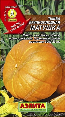 Тыква крупноплодная Матушка, 1 г Тыква крупноплодная Матушка, 1 г