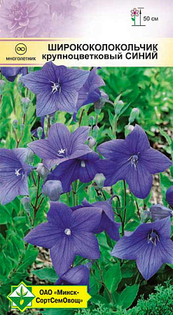 Ширококолокольчик крупноцветковый Синий, 0,1 г (МССО)